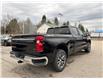 2025 Chevrolet Silverado 1500 LT (Stk: TS164034) in Caledonia - Image 5 of 26