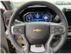 2025 Chevrolet Silverado 1500 LT (Stk: TS164034) in Caledonia - Image 22 of 26