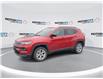 2025 Jeep Compass North (Stk: 250034) in Windsor - Image 4 of 25