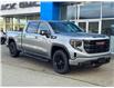 2025 GMC Sierra 1500 Elevation (Stk: 25T19) in Port Alberni - Image 3 of 28