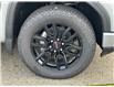 2025 GMC Sierra 1500 Elevation (Stk: 25T19) in Port Alberni - Image 12 of 28