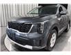2024 Kia Sorento 2.5L LX (Stk: 25655) in Edmonton - Image 6 of 23