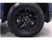 2022 Chevrolet Silverado 1500 LTD LT Trail Boss (Stk: X223514A) in Winnipeg - Image 17 of 18