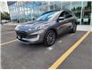2021 Ford Escape PHEV SEL (Stk: M2751A) in BELLEVILLE - Image 1 of 9