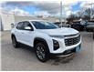 2025 Chevrolet Equinox LT (Stk: TS172061) in Caledonia - Image 7 of 50