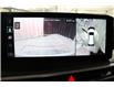 2025 Kia Sorento 2.5T X-Line Limited w/Black Interior (Stk: 25700) in Edmonton - Image 19 of 28