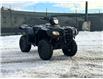 2024 Honda Rubicon TRX 520 (Stk: QG00715) in Edmonton - Image 2 of 9