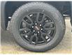 2025 GMC Sierra 1500 Elevation (Stk: 25T16) in Port Alberni - Image 13 of 27