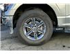 2024 Ford F-150 XLT (Stk: P9970) in Campbell River - Image 9 of 33