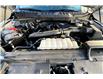 2024 Ford F-150 XLT (Stk: P9970) in Campbell River - Image 10 of 33