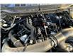 2024 Ford F-150 XLT (Stk: P9970) in Campbell River - Image 30 of 33