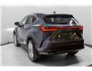 2025 Lexus NX 350h Base (Stk: 044247) in Brampton - Image 13 of 26