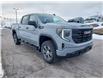2025 GMC Sierra 1500 Pro (Stk: 25172) in Haliburton - Image 1 of 18