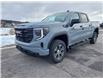 2025 GMC Sierra 1500 Pro (Stk: 25172) in Haliburton - Image 3 of 18