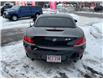2014 BMW Z4 35i (Stk: A-386031) in Moncton - Image 6 of 20