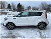 2017 Kia Soul SX Turbo Tech (Stk: A-466906) in Moncton - Image 4 of 20