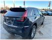 2025 Cadillac XT4 Premium Luxury (Stk: F152514) in Newmarket - Image 5 of 28