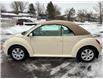 2008 Volkswagen New Beetle 2.5L Trendline (Stk: A-416200) in Moncton - Image 4 of 20