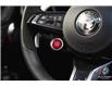 2024 Alfa Romeo Stelvio Quadrifoglio (Stk: ARE0302) in Edmonton - Image 15 of 30