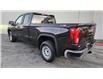 2025 GMC Sierra 1500 Pro (Stk: 169534) in New Glasgow - Image 3 of 15