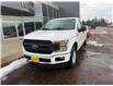 2020 Ford F-150 XL (Stk: 24243) in Pembroke - Image 5 of 15