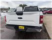 2020 Ford F-150 XL (Stk: 24243) in Pembroke - Image 10 of 15