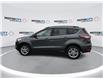 2018 Ford Escape SE (Stk: 47020) in Windsor - Image 5 of 18