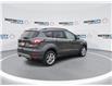 2018 Ford Escape SE (Stk: 47020) in Windsor - Image 8 of 18