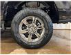 2024 Ford F-150 XLT (Stk: 24LT183) in St.Paul - Image 10 of 10