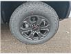 2024 GMC Canyon Elevation (Stk: 2024340) in ARNPRIOR - Image 7 of 8