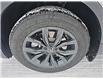2024 Volkswagen Tiguan Comfortline (Stk: 24360) in Lethbridge - Image 8 of 23