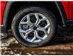2025 Jeep Compass North (Stk: 25044) in Embrun - Image 17 of 22