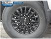 2025 Chevrolet Silverado 2500HD Work Truck (Stk: 5350050) in Petrolia - Image 6 of 24