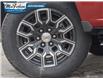 2024 Chevrolet Colorado LT (Stk: 4300100) in Petrolia - Image 6 of 27