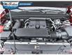 2024 Chevrolet Colorado LT (Stk: 4300100) in Petrolia - Image 8 of 27