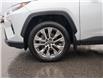 2023 Toyota RAV4 Limited (Stk: S25037B) in Ottawa - Image 9 of 30