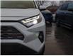 2023 Toyota RAV4 Limited (Stk: S25037B) in Ottawa - Image 10 of 30