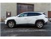 2023 Hyundai Tucson Preferred w/Trend Package (Stk: P41660) in Ottawa - Image 5 of 21