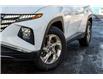 2023 Hyundai Tucson Preferred w/Trend Package (Stk: P41660) in Ottawa - Image 6 of 21