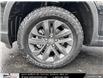 2025 Honda Ridgeline Sport (Stk: 2500949) in North York - Image 10 of 33