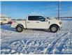2023 Ford F-150 XLT (Stk: B00118) in Wilkie - Image 13 of 23