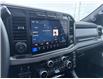 2024 Ford F-250 Platinum (Stk: 2024-243) in New Liskeard - Image 11 of 12
