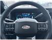 2024 Ford F-250 Platinum (Stk: 2024-243) in New Liskeard - Image 10 of 12