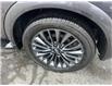 2024 Infiniti QX80 ProACTIVE 7 Passenger (Stk: P6796) in Brantford - Image 7 of 11