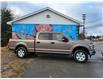 2018 Ford F-150 XLT in Sunny Corner - Image 3 of 16