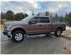 2018 Ford F-150 XLT in Sunny Corner - Image 6 of 16
