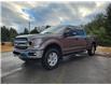 2018 Ford F-150 XLT in Sunny Corner - Image 7 of 16