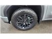 2025 GMC Sierra 1500 Pro (Stk: 178368) in New Glasgow - Image 9 of 15