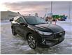 2023 Ford Escape Platinum (Stk: 8136) in Moose Jaw - Image 3 of 31