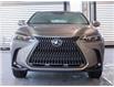 2025 Lexus NX 350h Base (Stk: 6650) in Kingston - Image 2 of 16